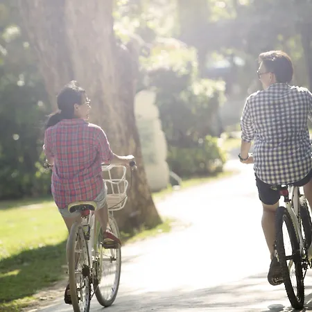 Maison Louise Centre - Handwritten Collection Lille