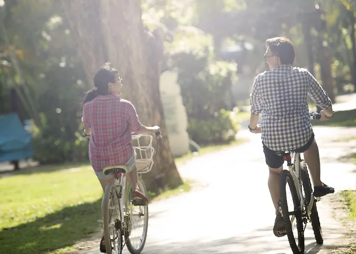 Maison Louise Centre - Handwritten Collection Lilla